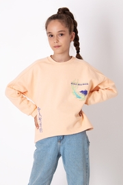 3969 Світшот-02